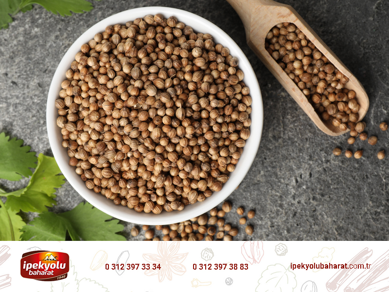 Kişniş Tane Nedir, Hangi Yemeklerde Kullanılır?